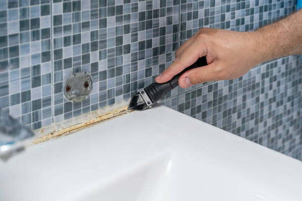 Best Office Mold Removal Services  in Rowlett, TX