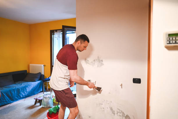 Trusted Rowlett, TX Mold Removal Experts