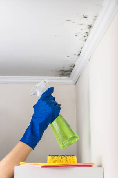 Best Water Damage Restoration  in Rowlett, TX
